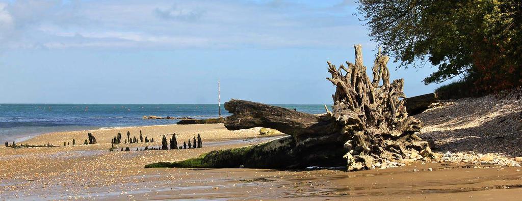 The Crab And Lobster Inn Bembridge Zewnętrze zdjęcie